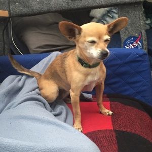 Meet your Posher, Edgar